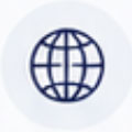 India Market Expertise